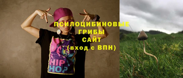не бодяженный Аркадак