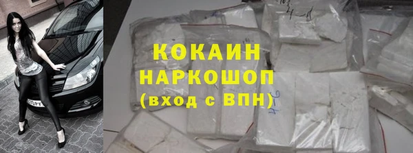 сатива Армянск