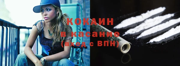 индика Арсеньев
