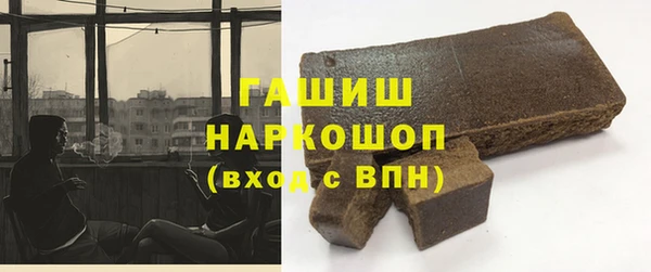 индика Арсеньев