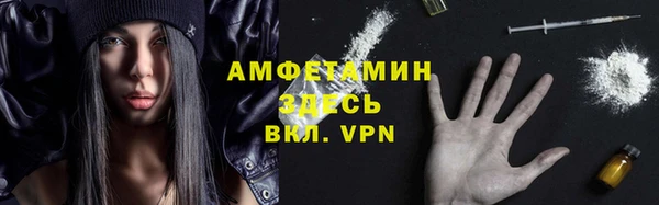 сатива Армянск
