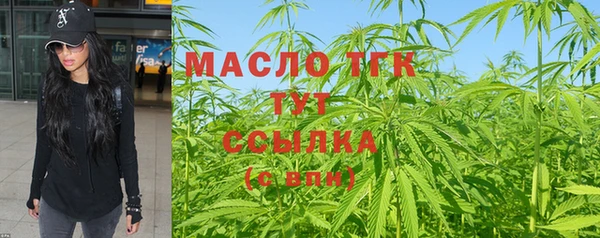 индика Арсеньев