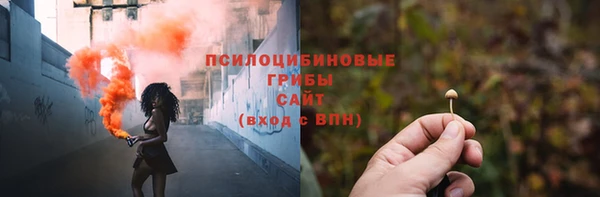 сатива Армянск
