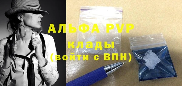 индика Арсеньев