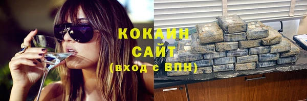 индика Арсеньев