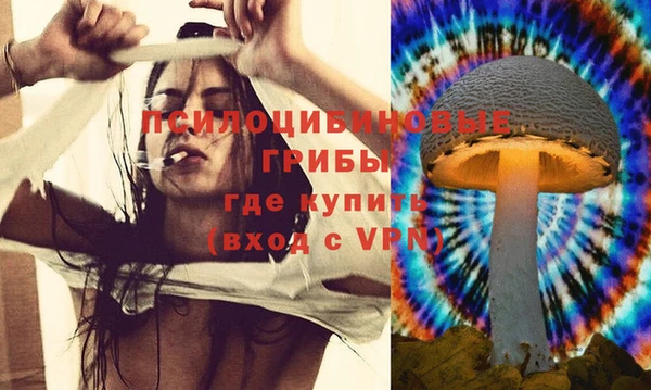 сатива Армянск