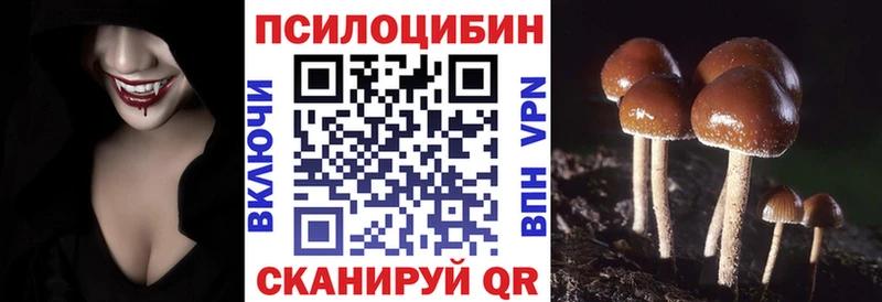 Псилоцибиновые грибы Magic Shrooms  Купить  Суджа 