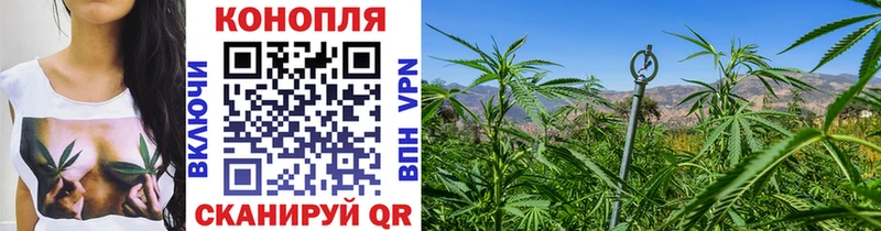 Канабис конопля Суджа