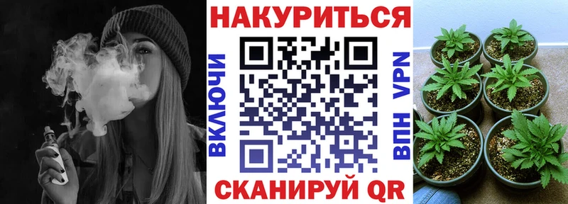 Купить где Суджа Канабис план